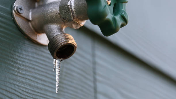 Best Plumbing Inspection Services  in Carlyss, LA